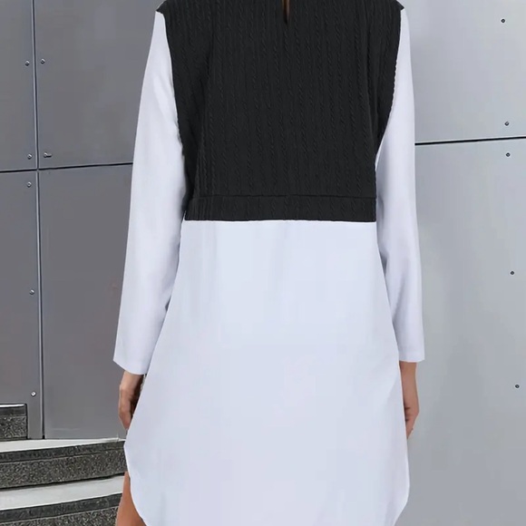 Color Black 2 In 1 Shirt Dress, Elegant Button Front Long Sleeve Dress - Picture 3 of 4